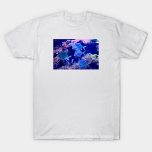 Glass fish underwater world / Swiss Artwork Photography T-Shirt